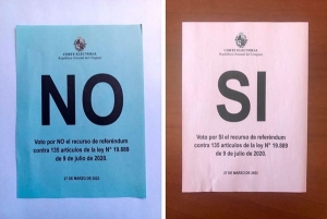 Referendum, ¿rosada o celeste?